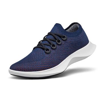 Blue Allbirds Tree Dasher 1 Women's Running Shoes | PH4285KI