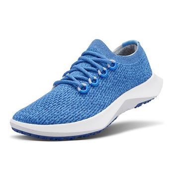 Blue Allbirds Tree Dasher 2 Women's Running Shoes | PH4262GL