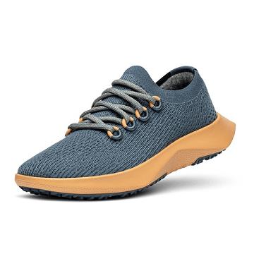 Blue / Yellow Allbirds Tree Dasher 2 Women's Running Shoes | PH4258SO