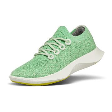 Mint / White Allbirds Tree Dasher 1 Women's Running Shoes | PH4282XF