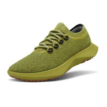 Olive Allbirds Wool Dasher Mizzles Women's Running Shoes | PH4321IS