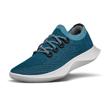 Turquoise Allbirds Tree Dasher 1 Women's Running Shoes | PH4291DN